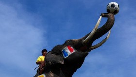FOTO: Kala Gajah Thailand Berlaga Bak Atlet Sepak Bola di Piala Dunia