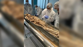 Peti Mati Kuno Notre-Dame Dibongkar, Ahli Ungkap Temuan Mengejutkan
