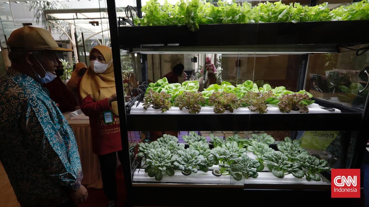 FOTO: Dorong Ketahanan Pangan Lewat Festival Urban Farming 2022