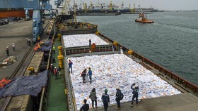FOTO: Mengintip Penampakan 5 Ribu Ton Beras Impor dari Vietnam