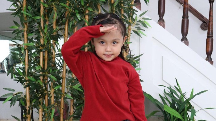 Hasil Tes IQ Lala