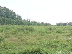 Tanah di Colomadu Tembus Rp 3 Jutaan/Meter, Tertinggi Se-Karanganyar Tanah di Colomadu Tembus Rp 3 Jutaan/Meter, Tertinggi Se-Karanganyar