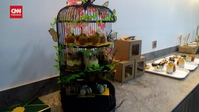 VIDEO: Mahasiswa Ini Buat Sangkar Burung Jadi Hampers Natal