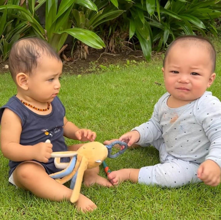 <p>Pada suatu waktu, Baby Izz dan Don sempat memperebutkan mainan, nih. Hal ini justru membuat keduanya semakin menggemaskan. (Foto: Instagram: @inijedar)</p>