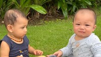 <p>Pada suatu waktu, Baby Izz dan Don sempat memperebutkan mainan, nih. Hal ini justru membuat keduanya semakin menggemaskan. (Foto: Instagram: @inijedar)</p>