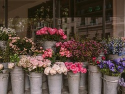 5 Rekomendasi Pasar Bunga di Bali Paling Lengkap dan Populer
