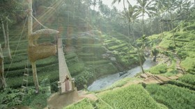 Alas Harum Bali: Harga Tiket, Jam Buka, dan Wahana