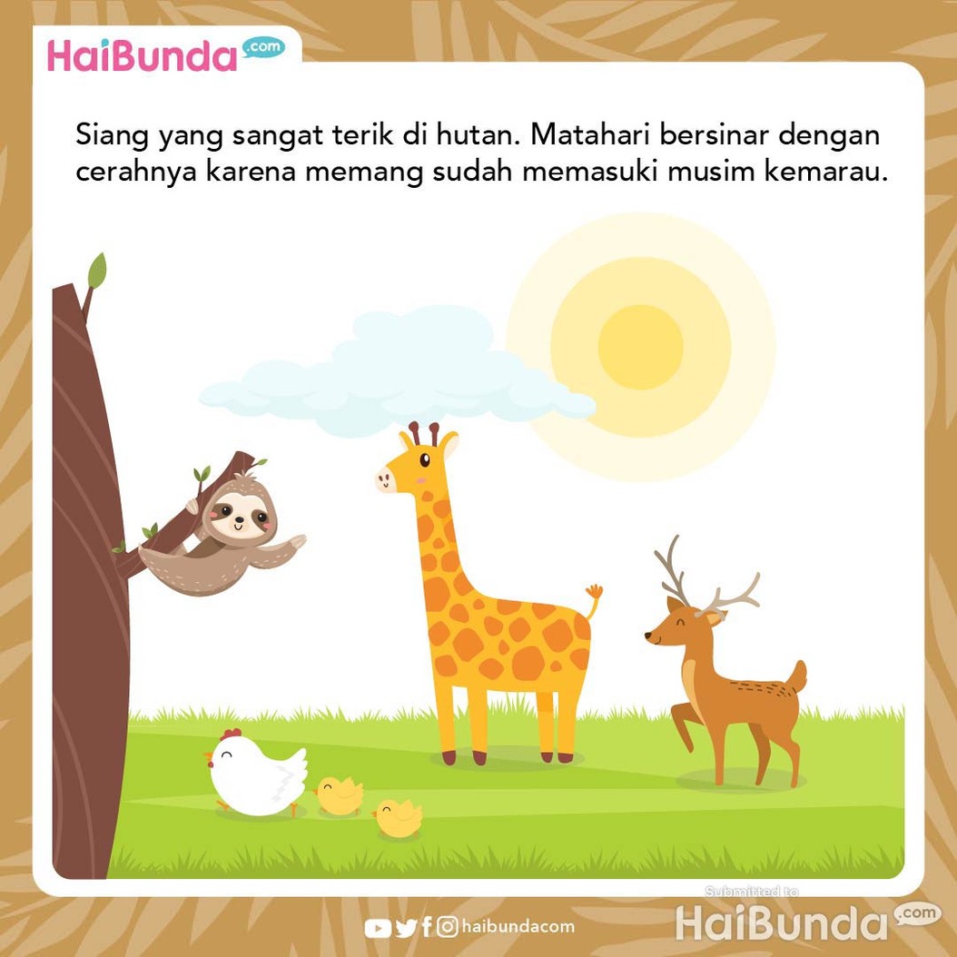 Cerita Fabel: Terima Kasih, Gajah