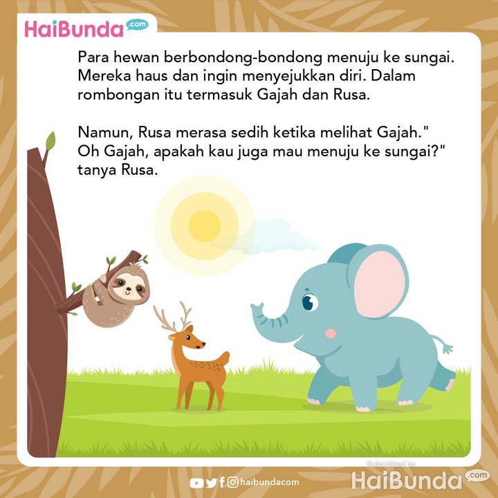 Cerita Fabel: Terima Kasih, Gajah