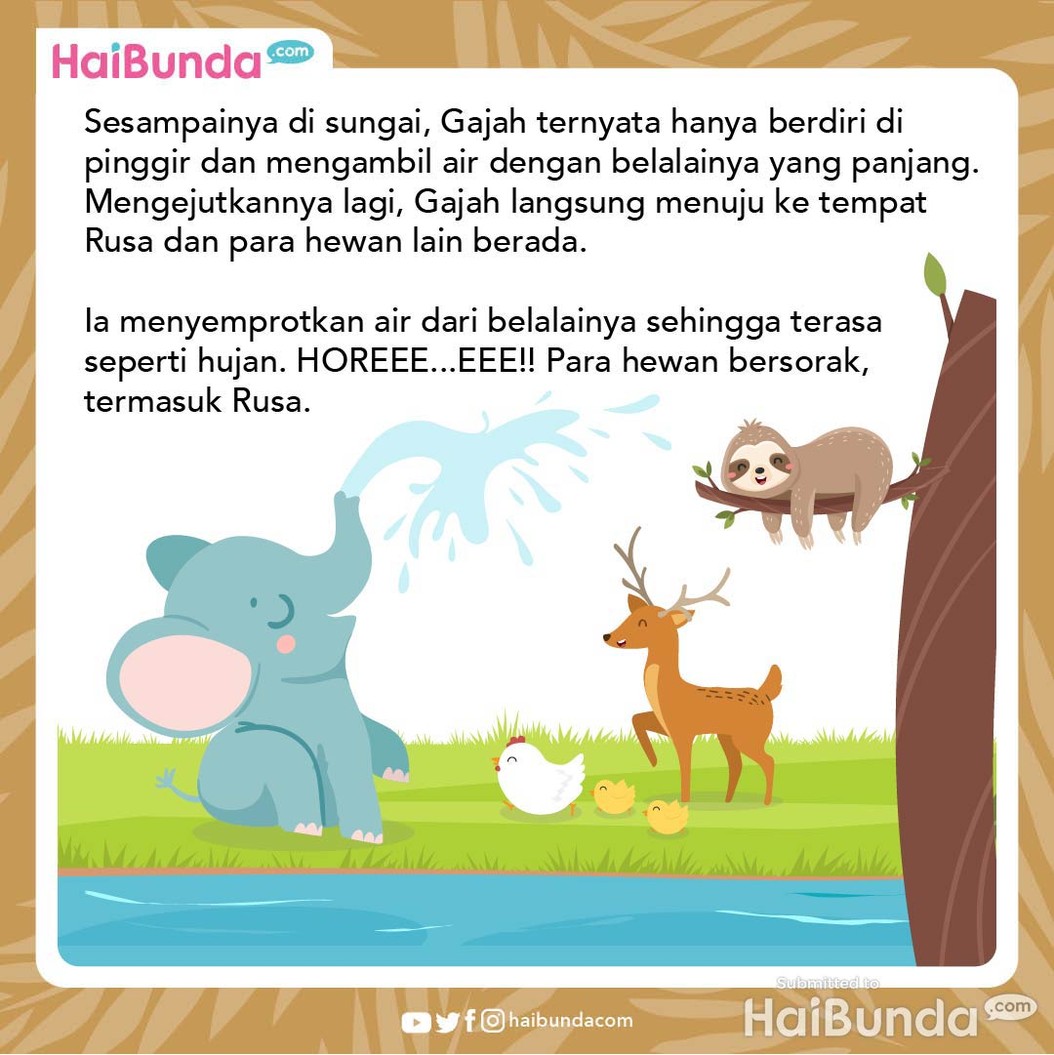 Cerita Fabel: Terima Kasih, Gajah