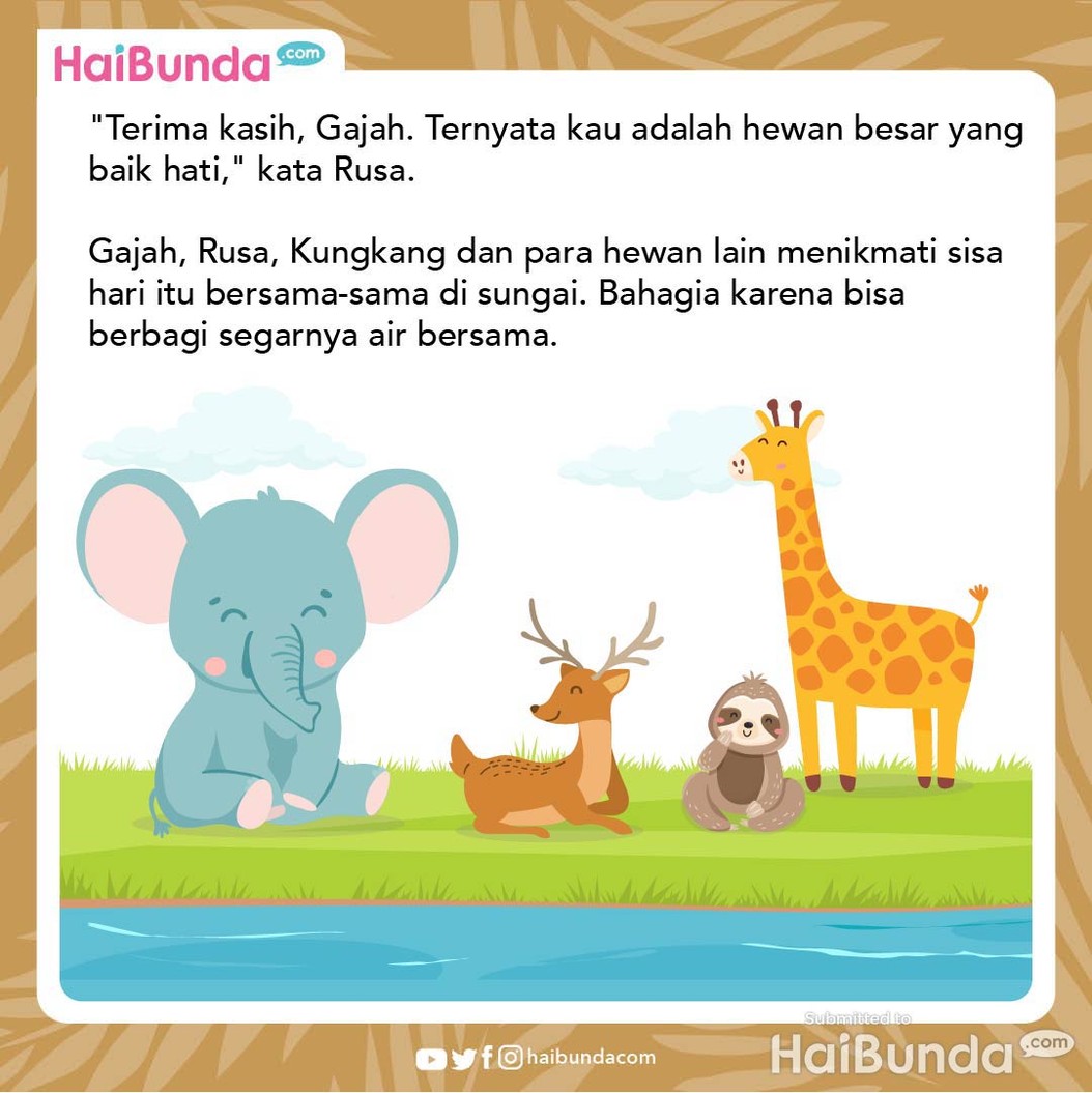 Cerita Fabel: Terima Kasih, Gajah