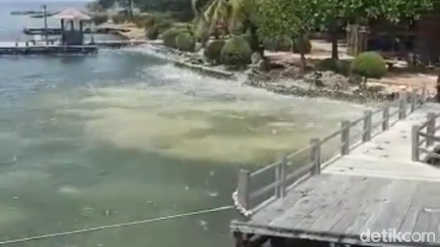Fenomena ikan-ikan loncat ke daratan Pulau Bidadari, Kepulauan Seribu, viral di medsos. Peristiwa itu direkam seorang petugas Bea-Cukai Tanjung Priok. (dok Pribadi/Hidayat Arif) Fenomena ikan-ikan loncat ke daratan Pulau Bidadari, Kepulauan Seribu, viral di medsos. Peristiwa itu direkam seorang petugas Bea-Cukai Tanjung Priok. (dok Pribadi/Hidayat Arif)