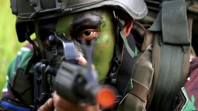 Eks Marinir Gabung Tentara Rusia, Status Kewarganegaraan RI Hilang
