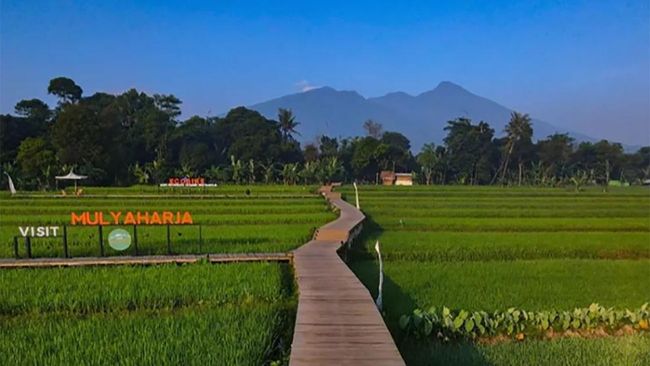 Ada cukup banyak tempat di Bogor yang bisa Anda kunjungi untuk menyambut tahun baru. Simak rekomendasi tempat tahun baru 2023 di Bogor!