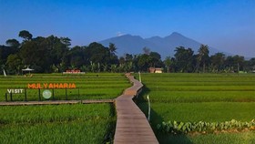 7 Rekomendasi Tempat Tahun Baru 2023 di Bogor, Seru dan Murah Meriah