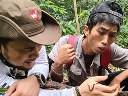 Kata Panji Petualang soal Kematian Alprih Akibat Gigitan King Kobra
