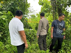 Dikira Kucing, Ternyata Suara Bayi Masih Hidup Dibuang di Lahan Kosong