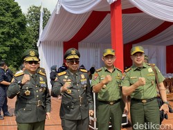 KLHK Ungkap Banyak Hasil Hutan Ilegal Lewat Jalur Tikus Perbatasan