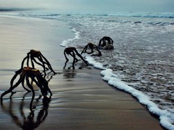 Foto Alien Muncul dari Laut Memicu Kepanikan Warga