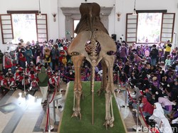 5 Rekomendasi Wisata Bandung yang Bisa Dikunjungi Saat Libur Lebaran