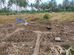Satgas COVID Anggap TPU Corona di Pinrang Tak Layak Jadi Pemakaman Umum