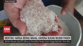 VIDEO: Mentan: Harga Beras Mahal Karena Bukan Musim Panen