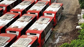 Identitas Bus Transjakarta yang Diduga Mangkrak di Pinang Ranti