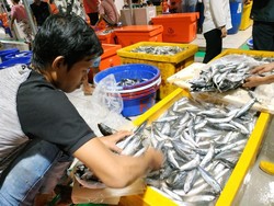 KKP Siapkan Sistem Ini buat Amankan Pasokan Ikan