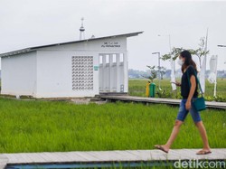 5 Hal Menarik di Guler Farm Nature, Bikin Banyak Orang ke Sini!
