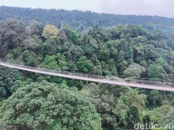 Jembatan Baru Terpanjang Se-Asia di Sukabumi, Berani Jajal?