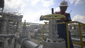 Sri Mulyani Beber Isi Pembicaraan soal Gas Murah dengan Menteri ESDM