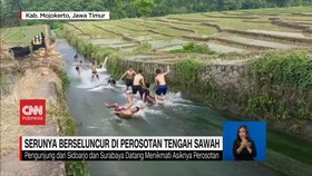 VIDEO: Serunya Bermain Seluncur di Perosotan Tengah Sawah