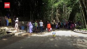 img-title VIDEO: Berlibur Ke Hutan Bambu Di Lereng Gunung Semeru