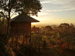 5 Hotel Rp 200 Ribuan di Puncak Bedugul Bali, Tahun Baru Bareng Keluarga