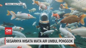 VIDEO: Segarnya Wisata Mata Air Umbul Ponggok