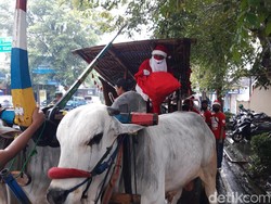 Unik! Sinterklas Naik Gerobak Sapi Bagi-bagi Kado di Pasar Boyolali
