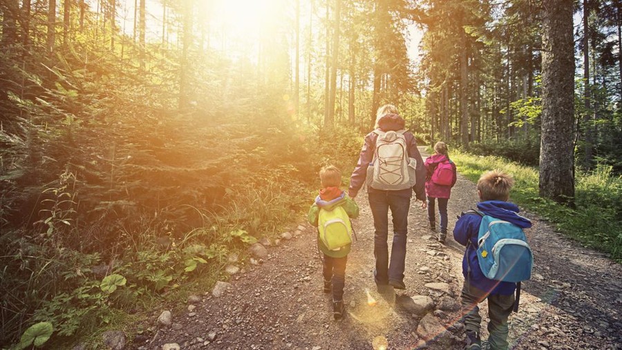 Mother and three kids hiking through a sunny forest. Everybody is wearing backpacks and jackets. Sun is shining brightly.