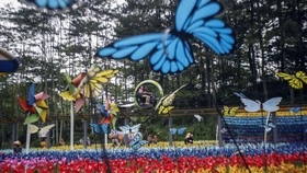 FOTO: Berbagai Tempat Wisata Dibanjiri Pengunjung Kala Libur Nataru