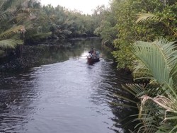 Lagi, Pekerja Bongkar Muat Sagu di Meranti Tewas Diterkam Buaya