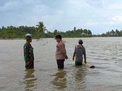 Pencarian Wanita Terseret Banjir Pinrang Terkendala Area Persawahan Tergenang