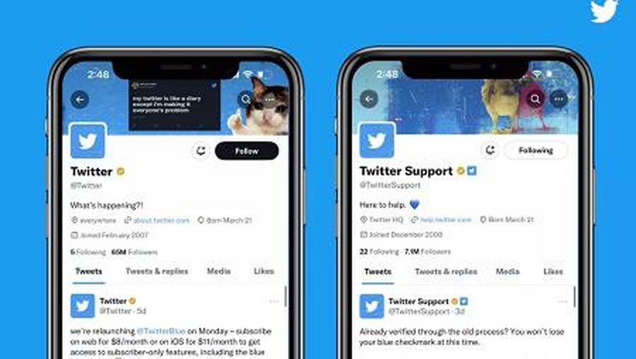 twitter Twitter