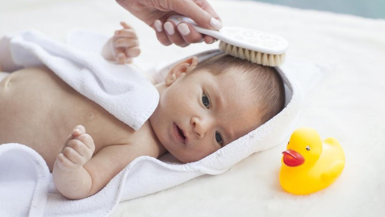 Bayi Baru Lahir Bayi Baru Lahir