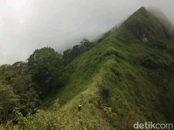 Remaja Hilang 3 Hari di Gunung Argopuro Alami Hal Mistis, Ini Kisahnya