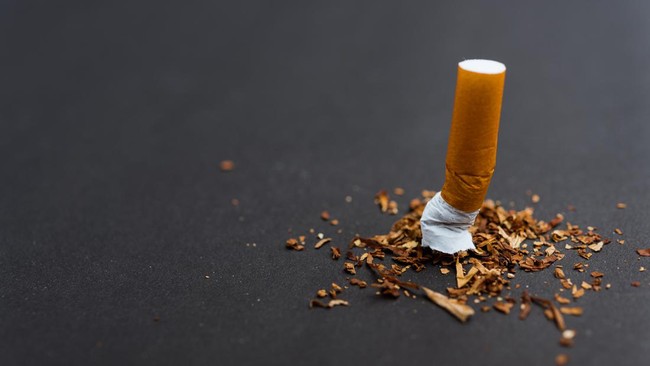 Anak yang sudah berhenti merokok bisa rupanya 'kambuh' alias merokok lagi. Studi baru mengungkap penyebab kebiasaan merokok di kalangan anak-anak kambuh.