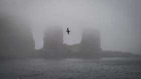 FOTO: Mengintip Kepulauan Kerguelen, Tempat Paling Terpencil di Dunia