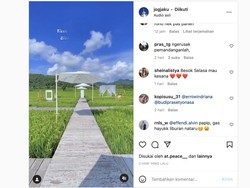 Debat Kusir Sengit Sawah Jogja Haram Jadi Tempat Instagramable