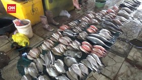 VIDEO: Stok BBM di Karimunjawa Menipis dan Harga Ikan Laut Melonjak