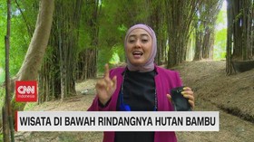 VIDEO: Wisata di Bawah Rindangnya Hutan Bambu
