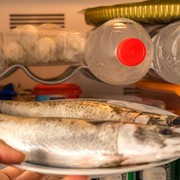 5 Cara Menyimpan Ikan di Kulkas Biar Tetap Segar dan Nggak Gampang Busuk
