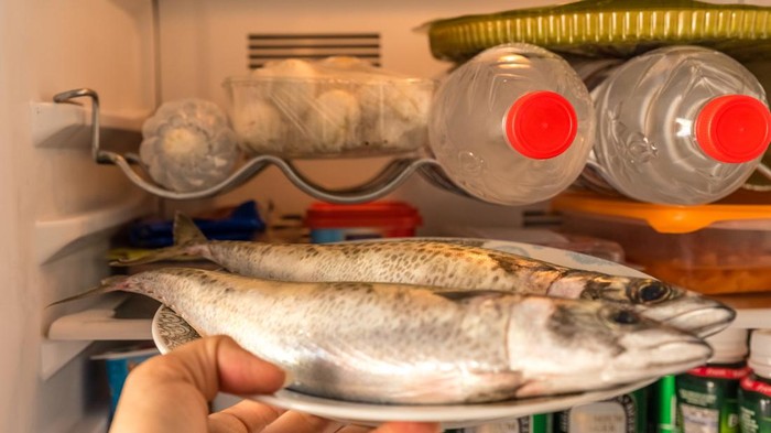raw fish in the fridge